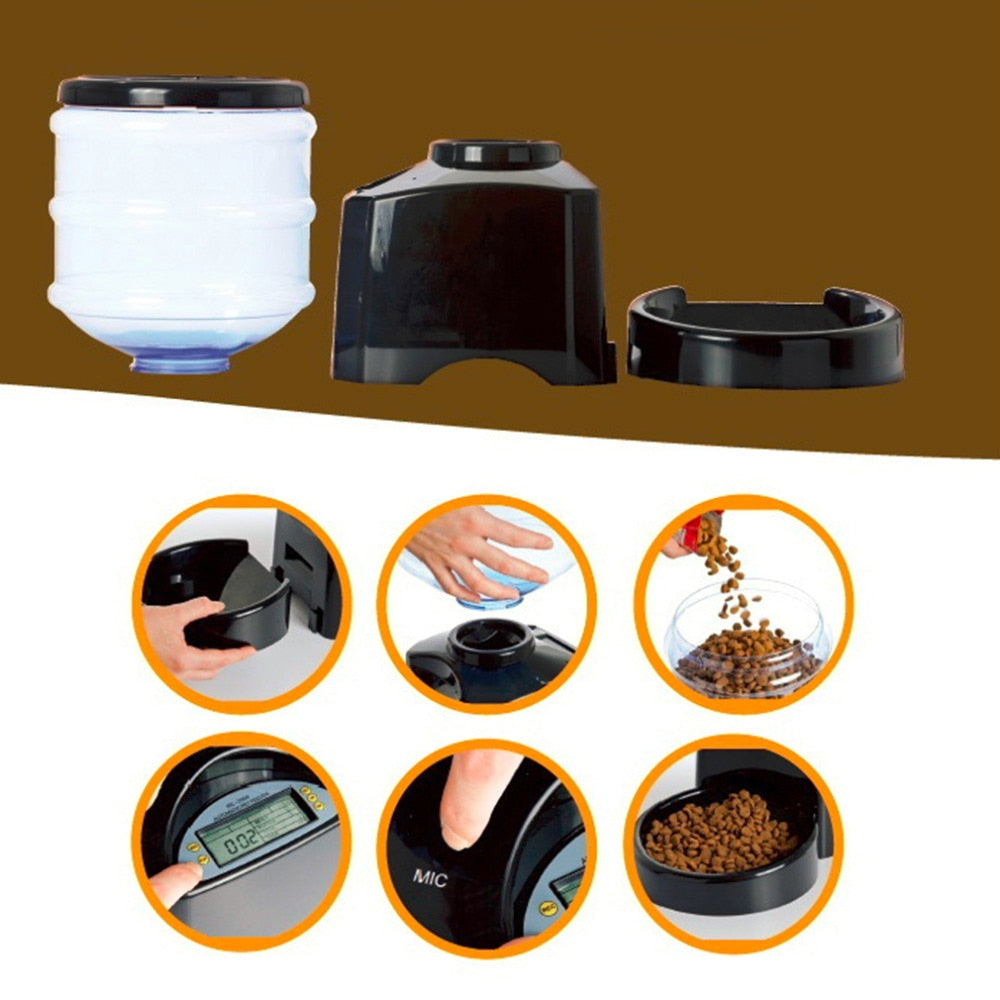 Automatic Pet Feeder fountain Voice Message Recording LCD Screen Dogs Cats Food Dispenser Bowl