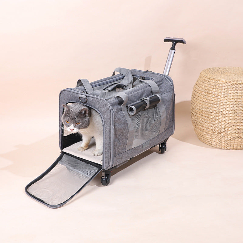 Travel Cat Carrier Summer Dog Pet Bag Foldable Cat Pet Box Breathable Portable Pet Trolley Case