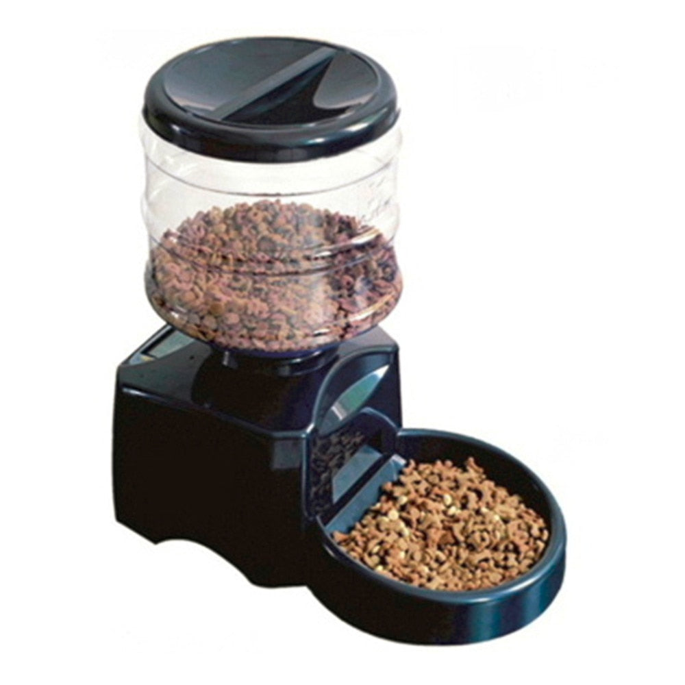 Automatic Pet Feeder fountain Voice Message Recording LCD Screen Dogs Cats Food Dispenser Bowl