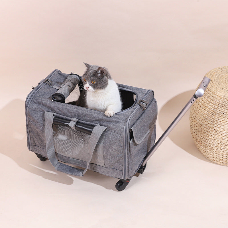 Travel Cat Carrier Summer Dog Pet Bag Foldable Cat Pet Box Breathable Portable Pet Trolley Case
